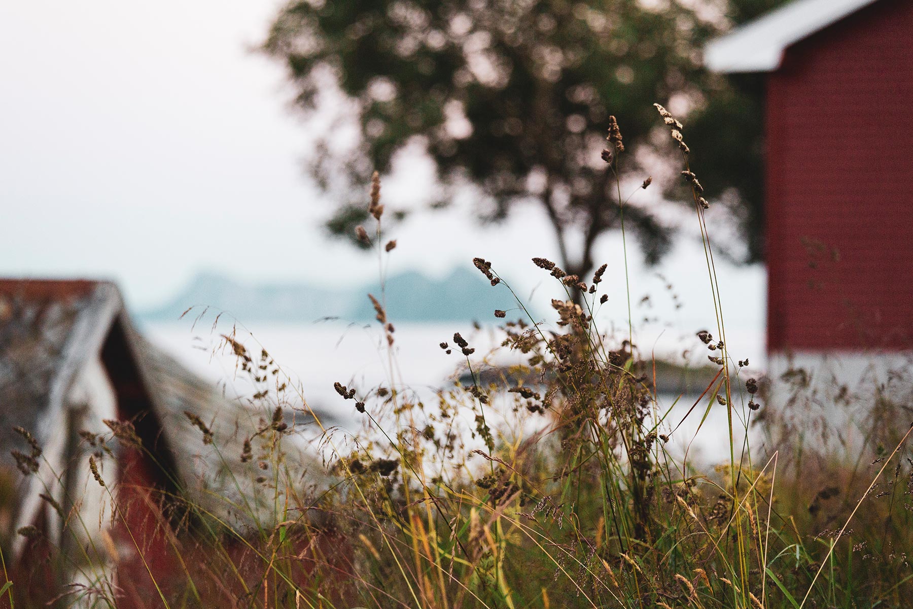 Getting to Lofoten Travel Directions to Holmen Lofoten