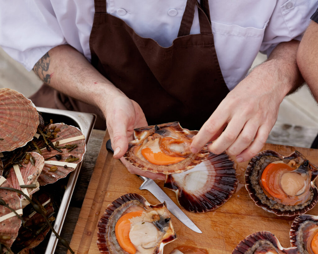 local Scallops from lofoten norway